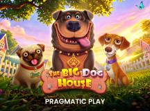 The Big Dog House